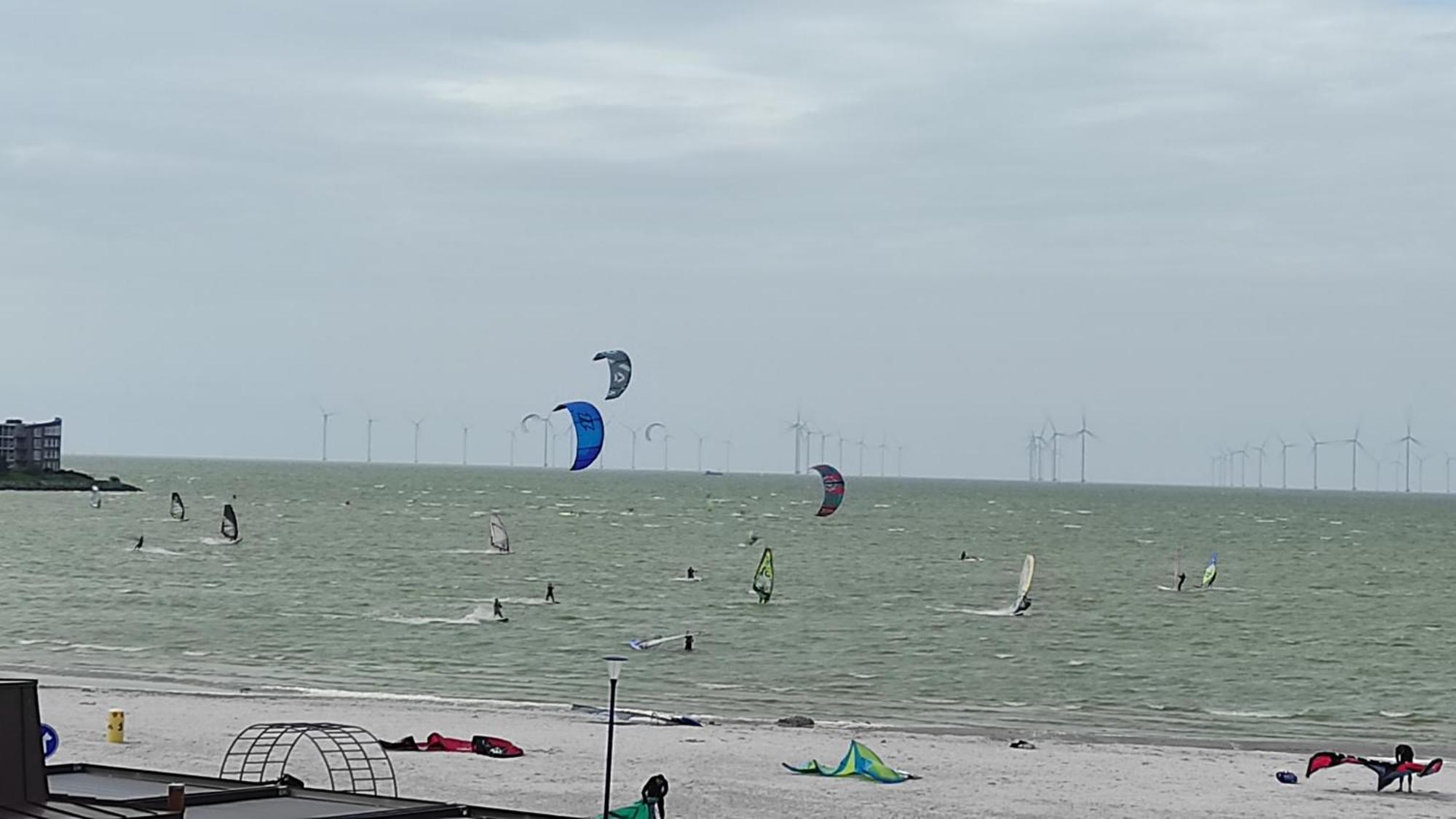 Appartement Ijsselmeer Makkum Strand Bagian luar foto