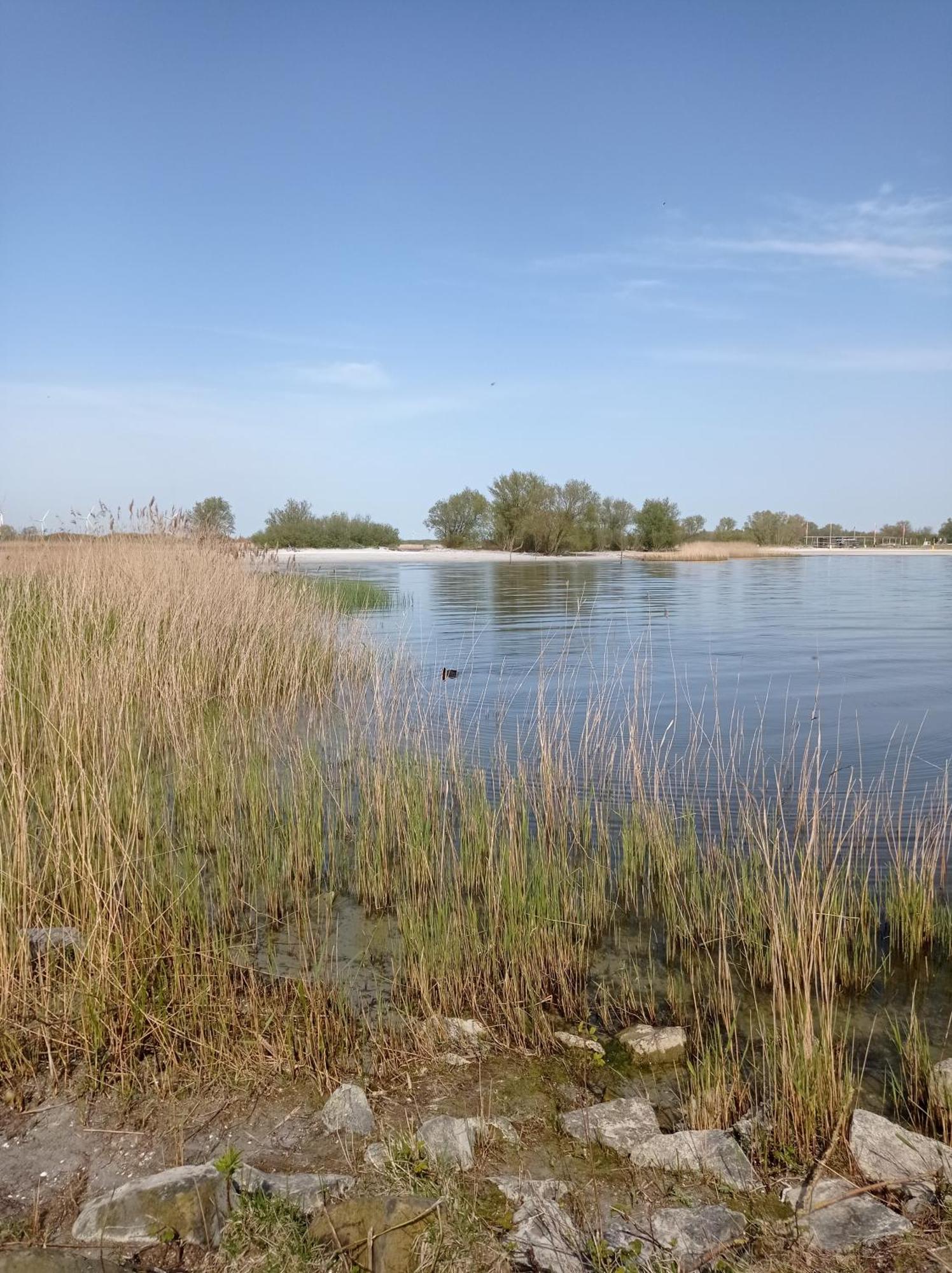 Appartement Ijsselmeer Makkum Strand Bagian luar foto